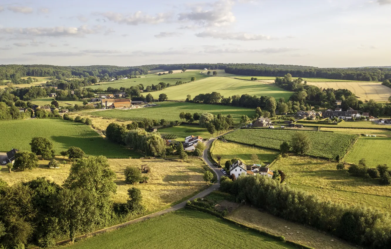 Photo wallpaper Holland, Limburg, Walem