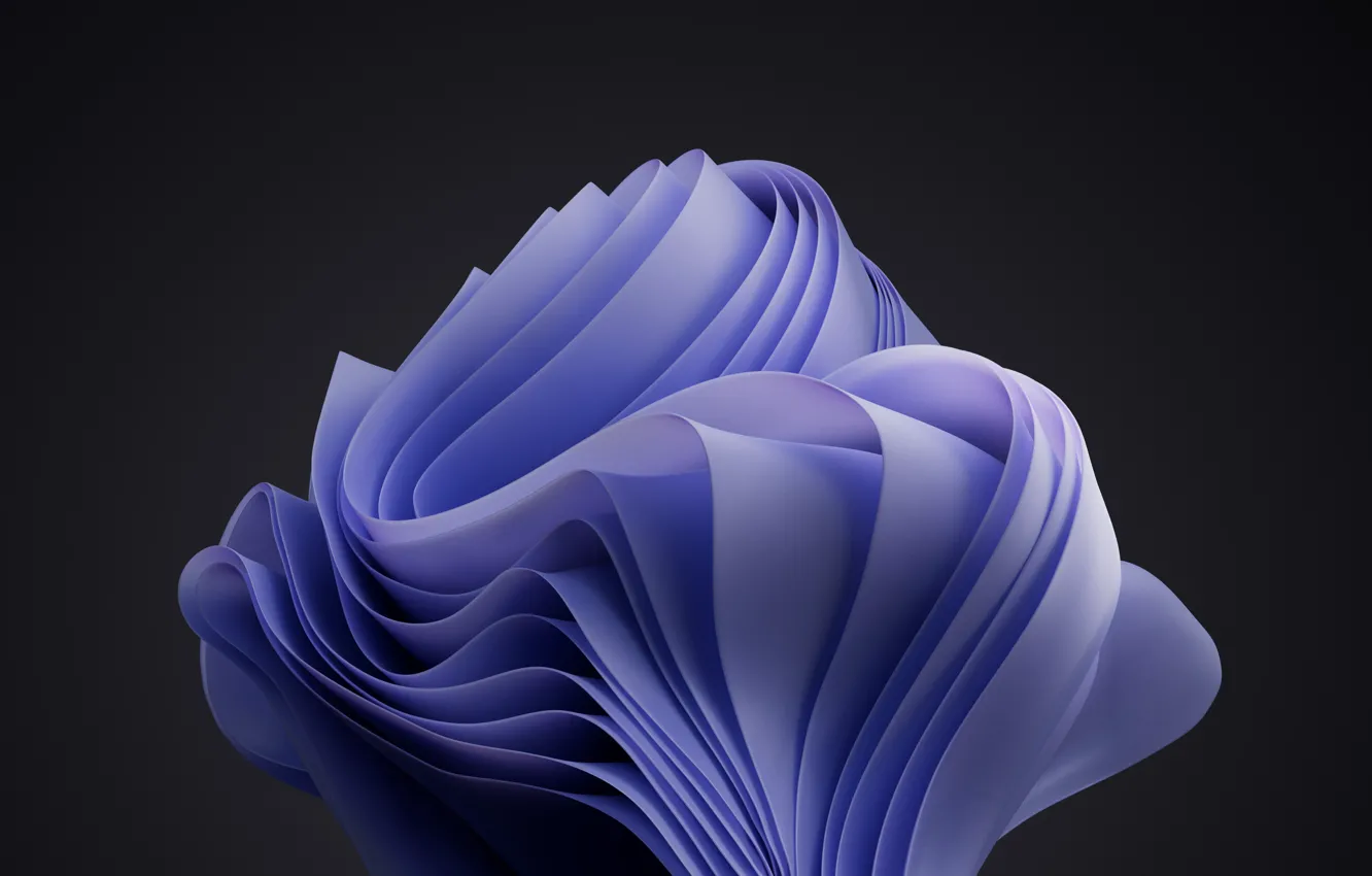 Photo wallpaper windows 11, win11, Pantone Color of the Year 2022