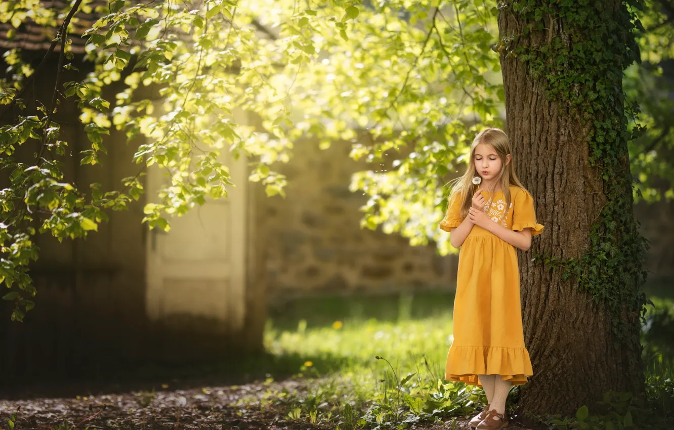 Photo wallpaper summer, light, dandelion, girl