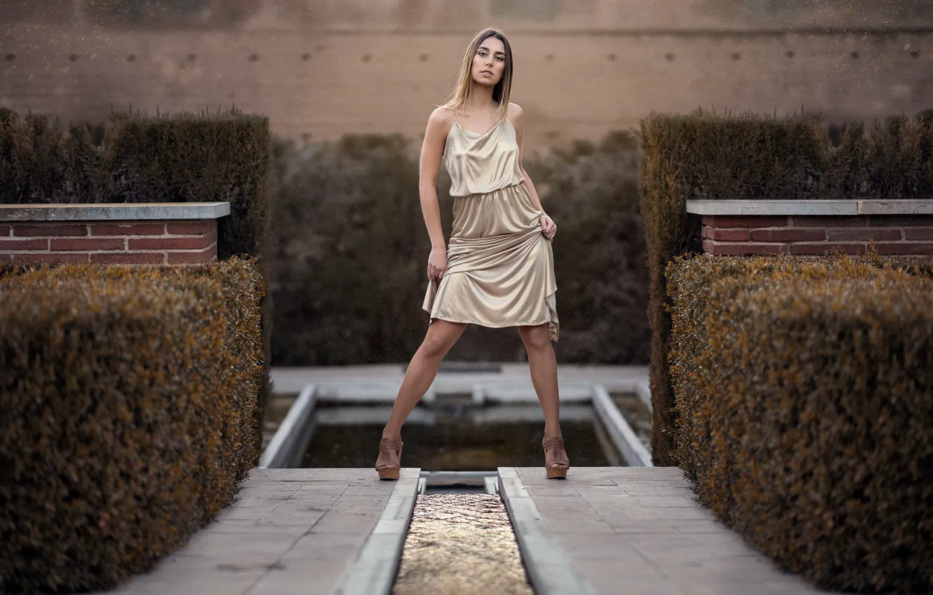 Photo wallpaper look, girl, pose, model, hair, dress, legs, Isabel