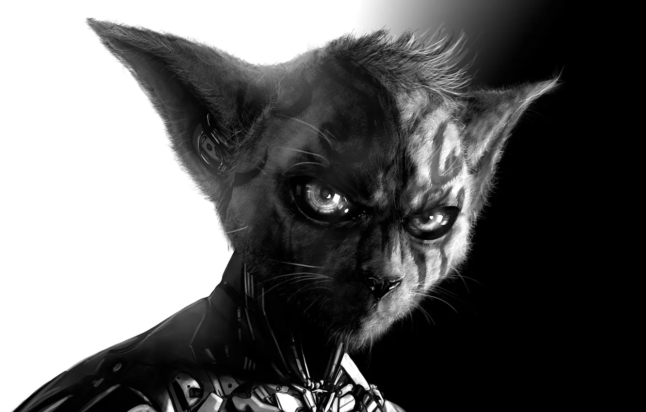 Photo wallpaper Cat, hairstyle, costume, tattoo, evolution, gadget, new tribe