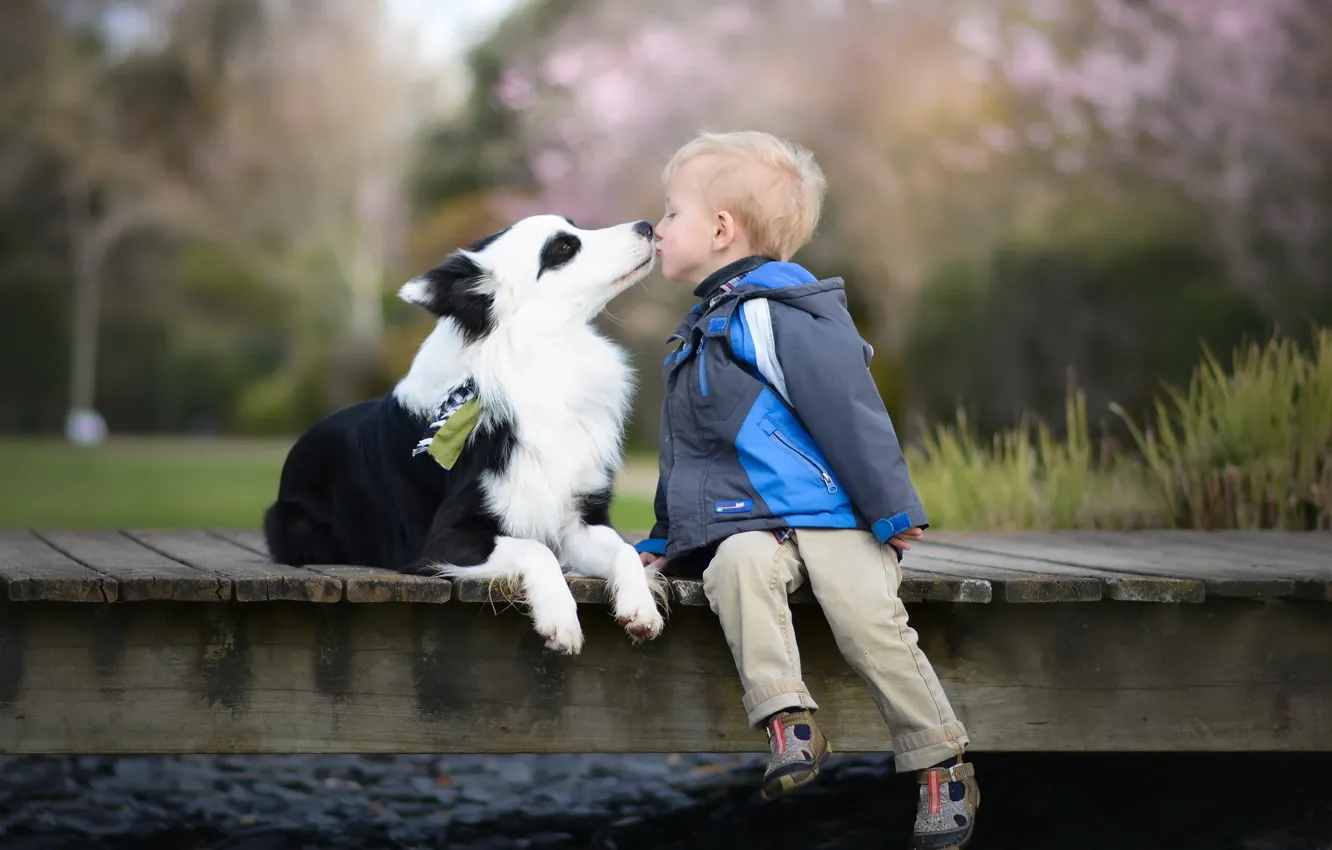 Photo wallpaper each, dog, boy