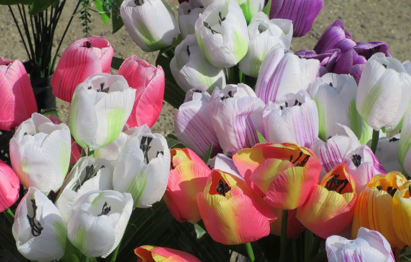 Photo wallpaper tulips, artificial flowers, spring 2018, Meduzanol ©