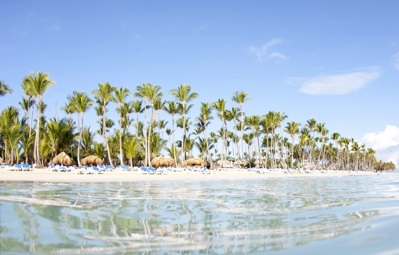 Photo wallpaper beach, water, transparency, palm trees, the ocean