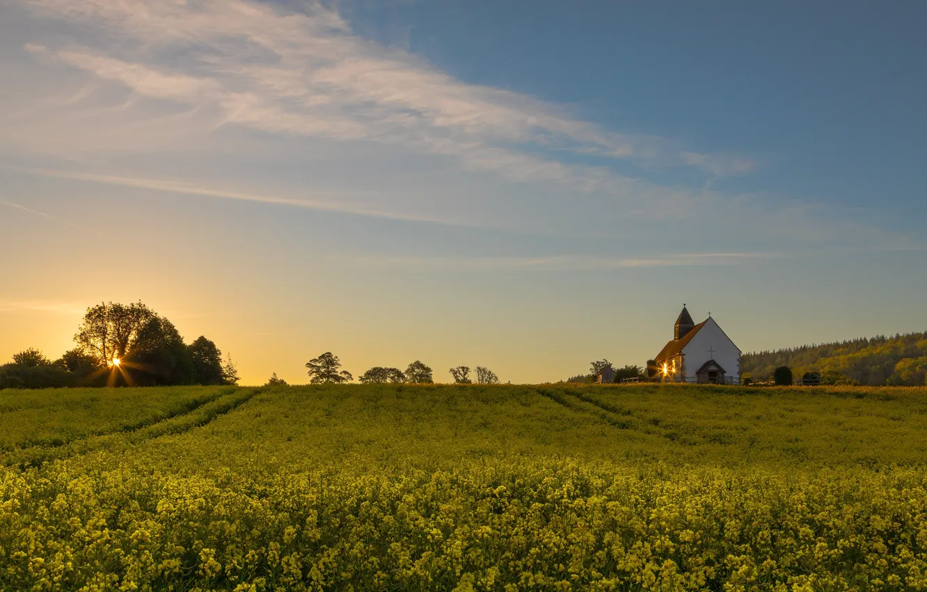 Photo wallpaper field, summer, the sky, flowers, spring, yellow, meadow, Church
