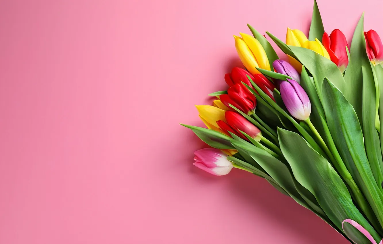 Photo wallpaper flowers, bouquet, colorful, tulips, flowers, tulips, spring, bouquet