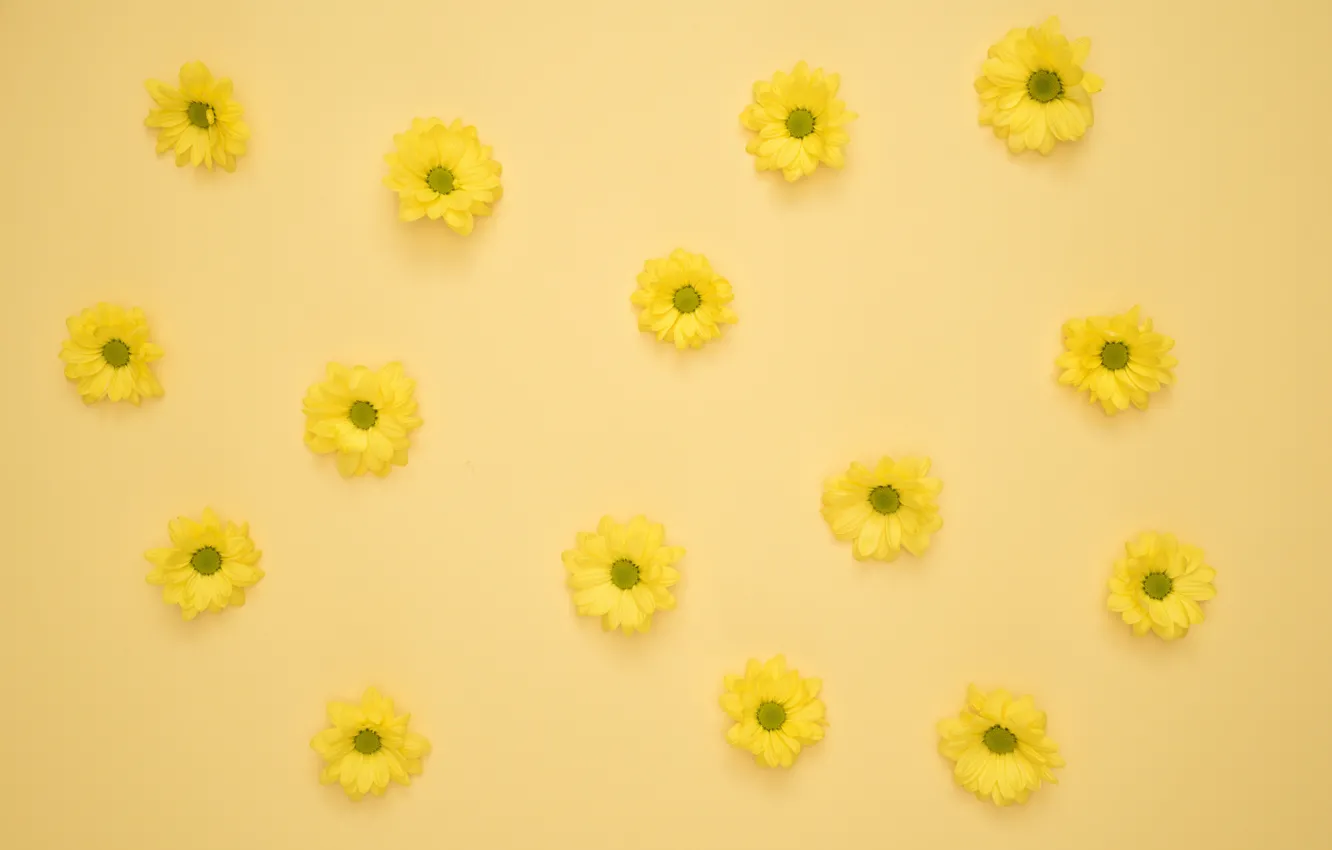 Photo wallpaper flowers, yellow, background, buds, yellow, flowers, decoration