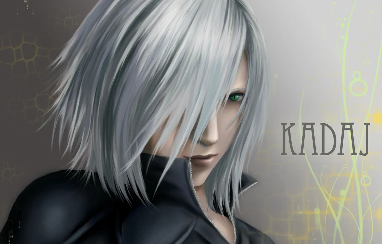 Photo wallpaper look, the inscription, guy, Final Fantasy, art, Zetsuai89, Final Fantasy VII, kadaj