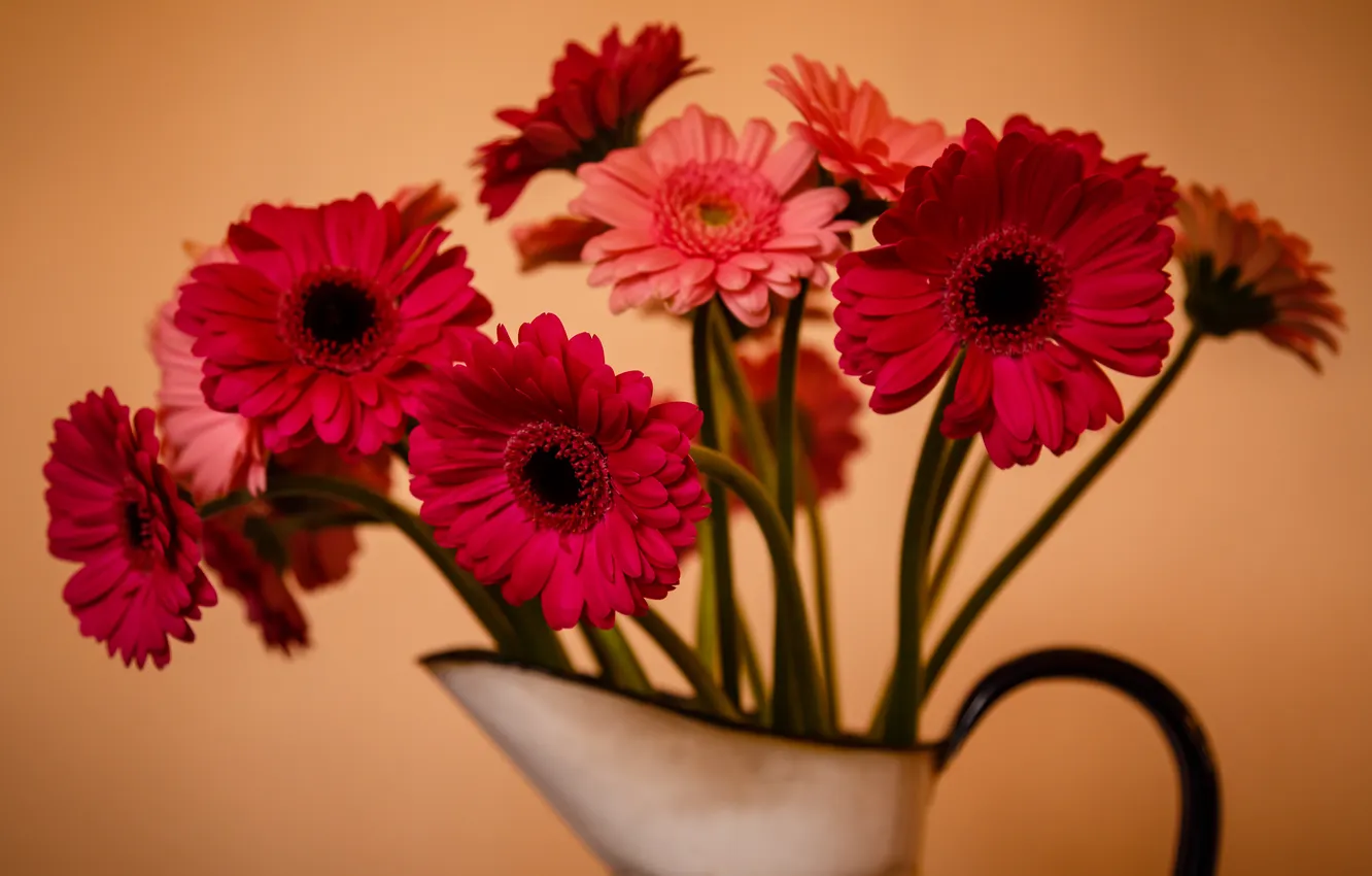 Photo wallpaper flowers, background, gerbera
