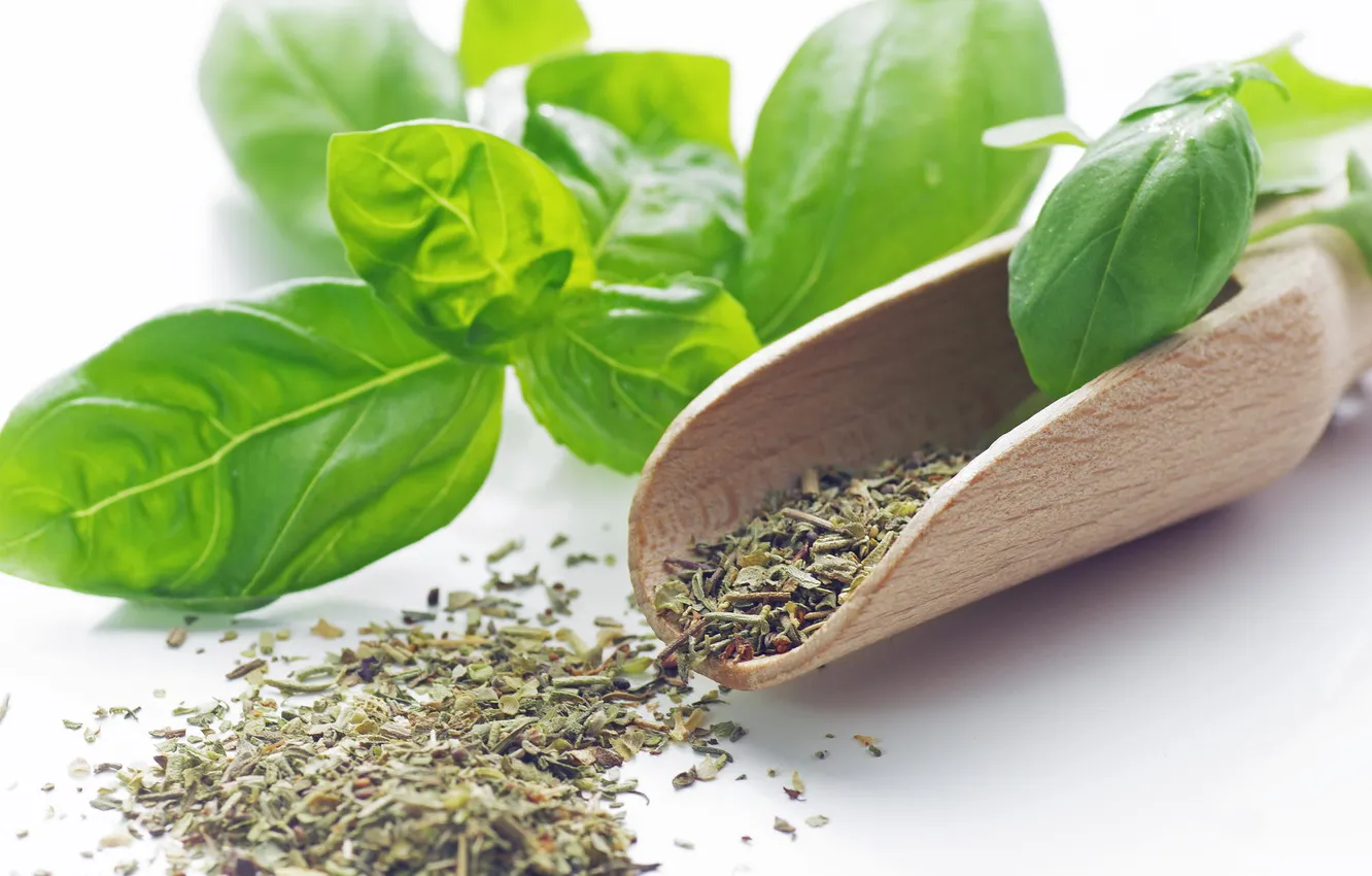 Photo wallpaper grass, spices, Basil, savok