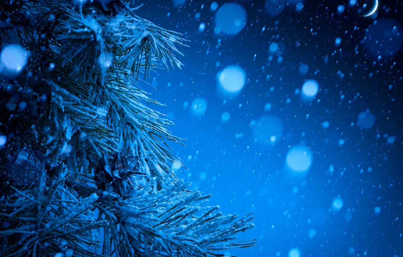 Photo wallpaper winter, snow, branches, the moon, tree, a month