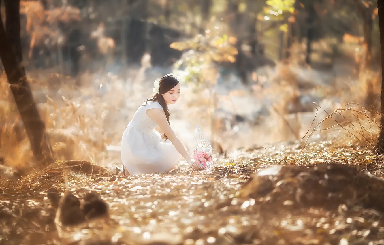 Photo wallpaper forest, girl, Asian