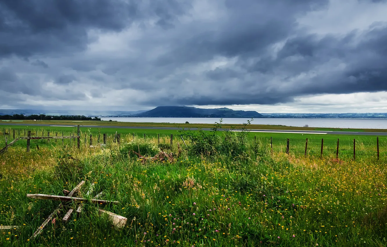 Photo wallpaper summer, grass, flowers, clouds, lake, fence