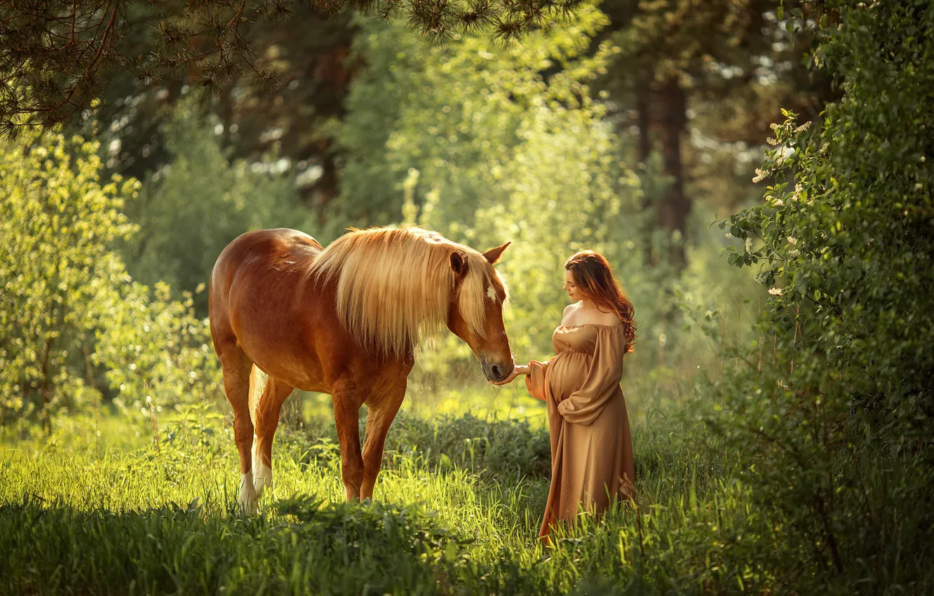 Photo wallpaper forest, summer, light, mood, horse, woman, horse, belly