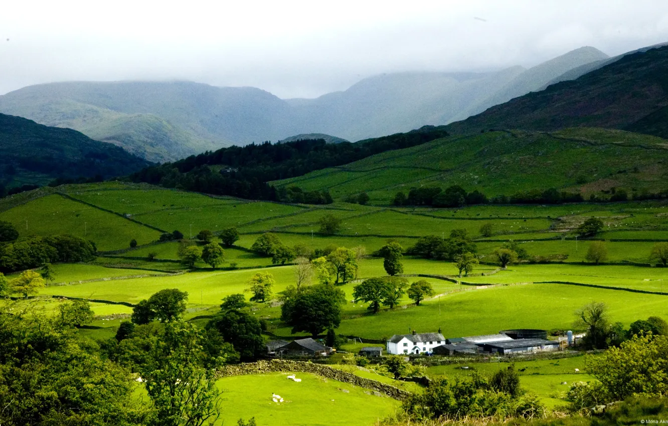 Photo wallpaper field, grass, Britain