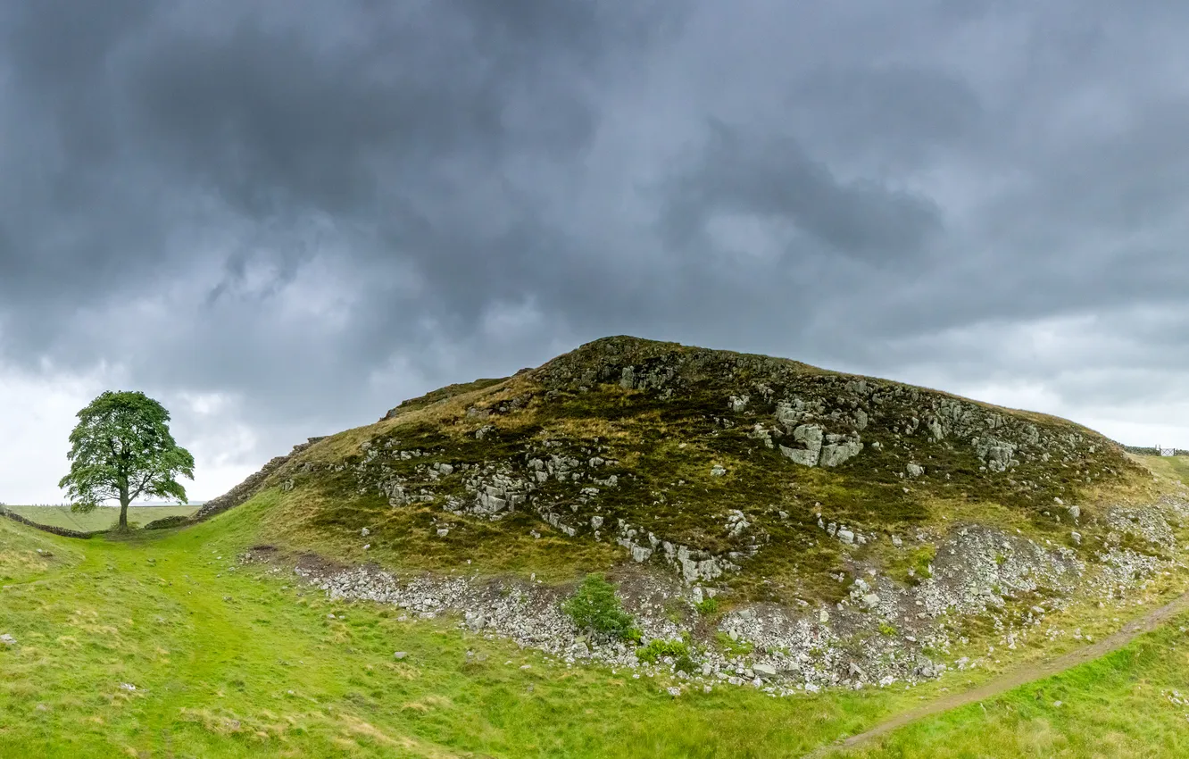 Photo wallpaper trees, mountains, clouds, hills