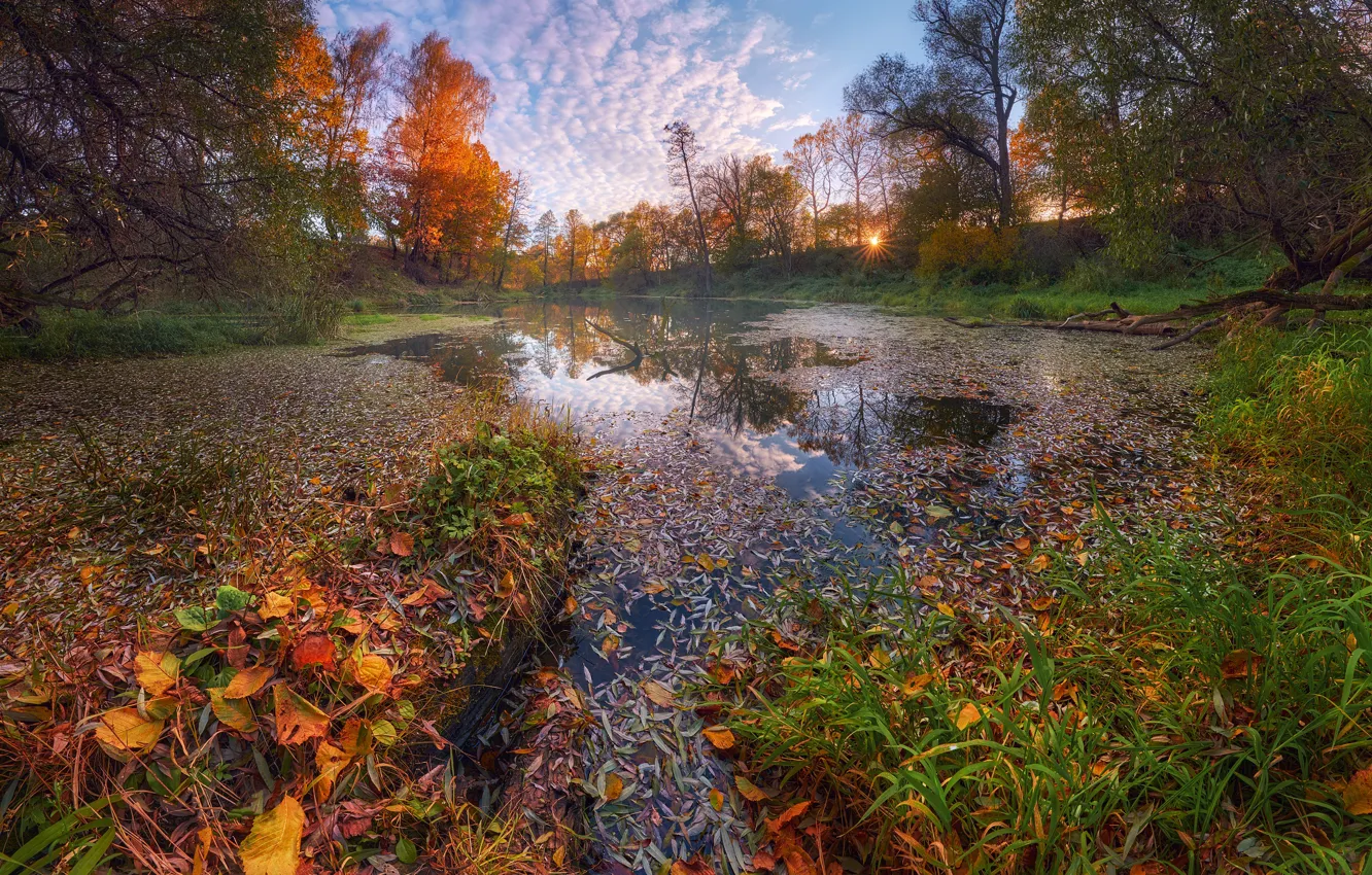 Photo wallpaper autumn, leaves, trees, landscape, nature, river, Konstantin Voronov, Sukhodrev