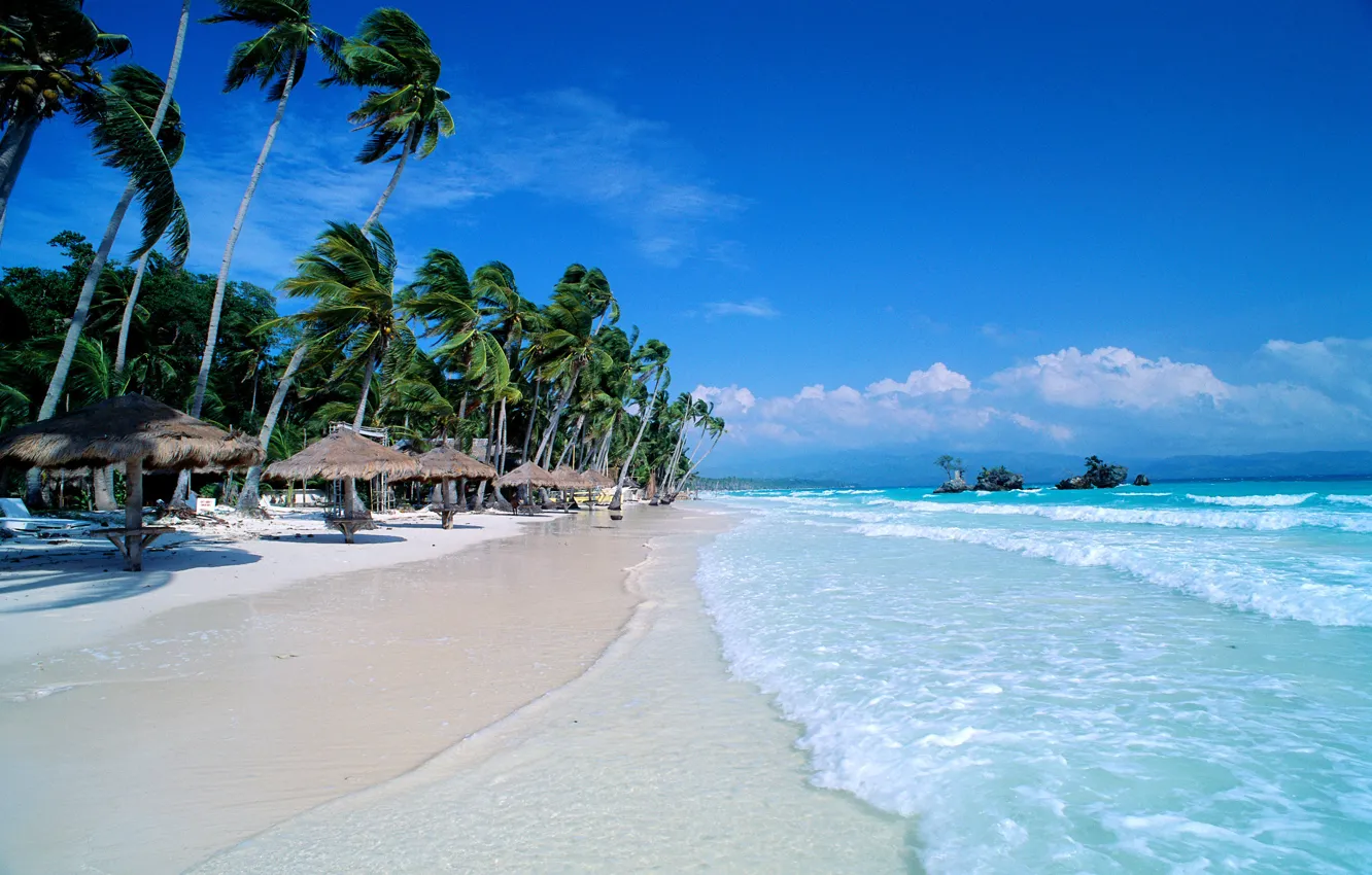 Photo wallpaper the ocean, palm trees, beach