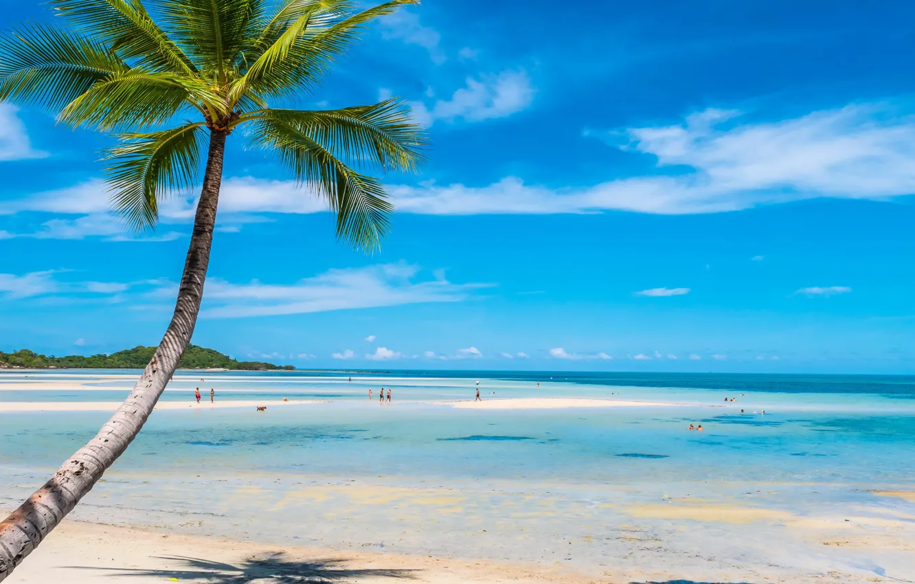 Photo wallpaper sand, sea, beach, summer, the sky, the sun, palm trees, shore