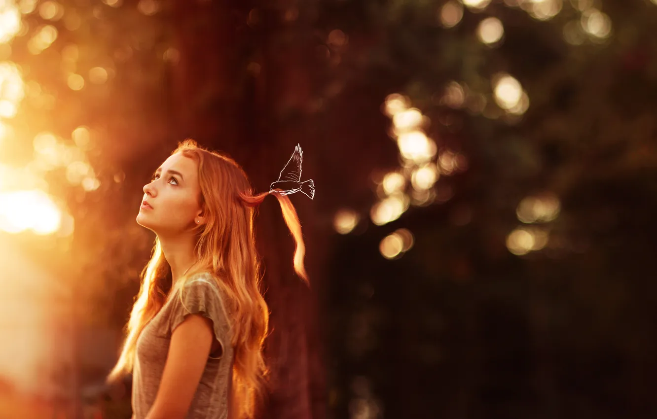 Photo wallpaper forest, woman, mood