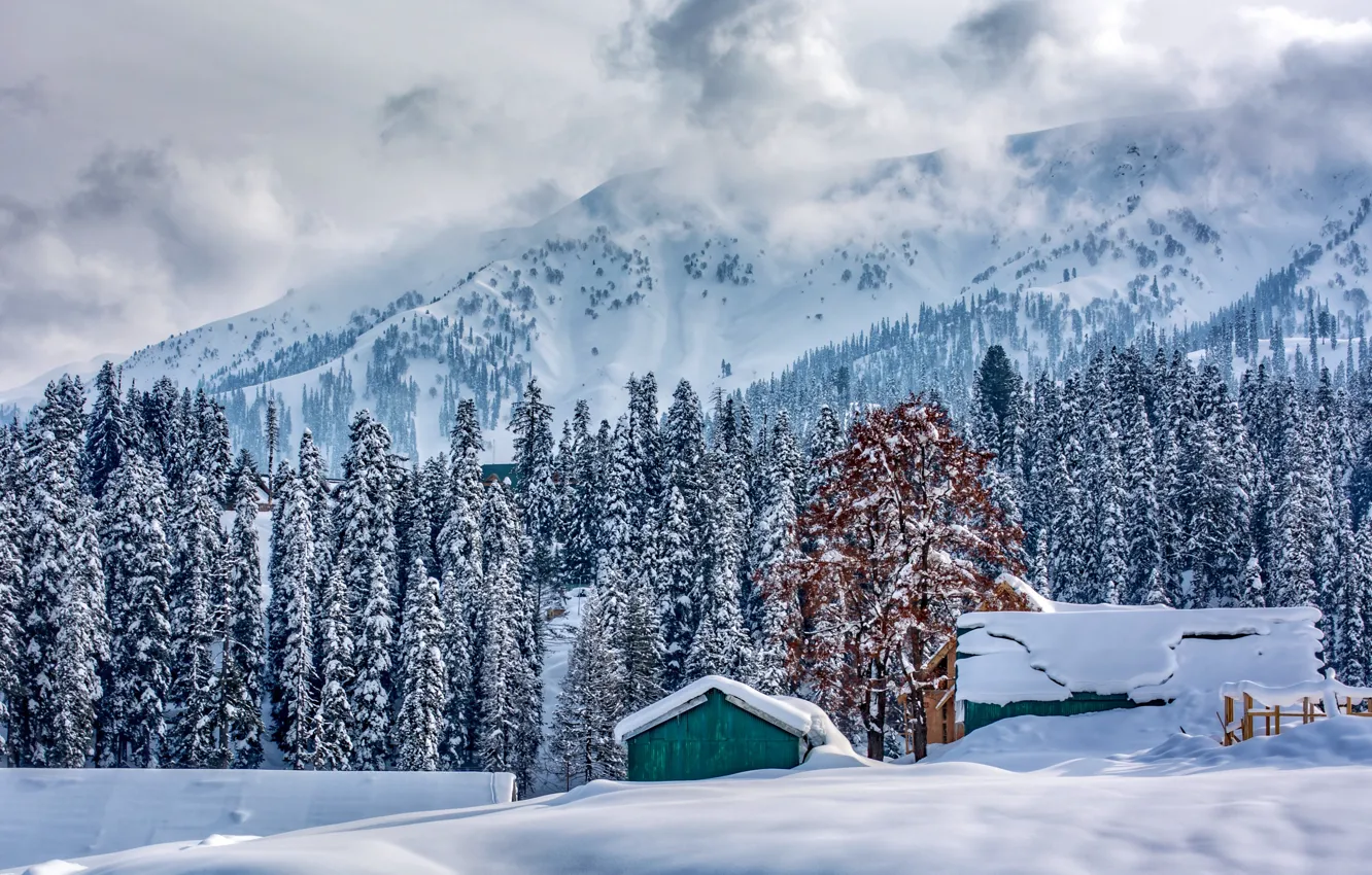 Photo wallpaper winter, roof, forest, snow, mountains, photo