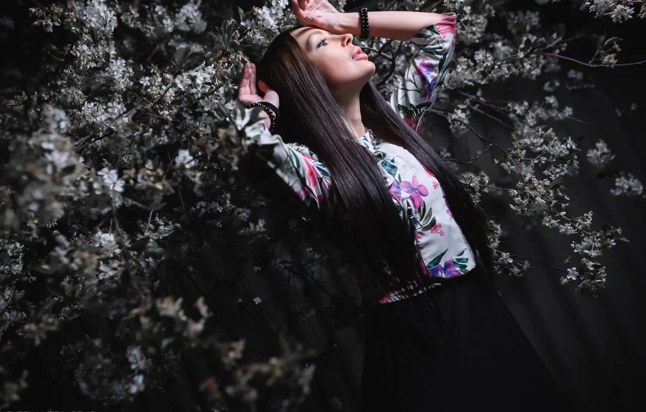 Photo wallpaper girl, cherry, pose, spring, hands, brunette, flowering, long hair