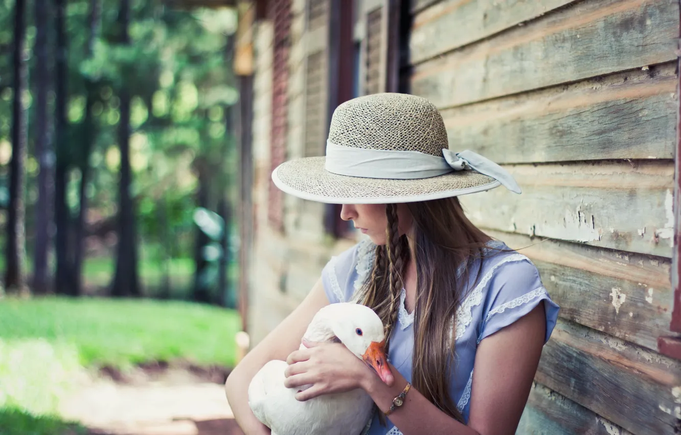 Photo wallpaper girl, background, geese