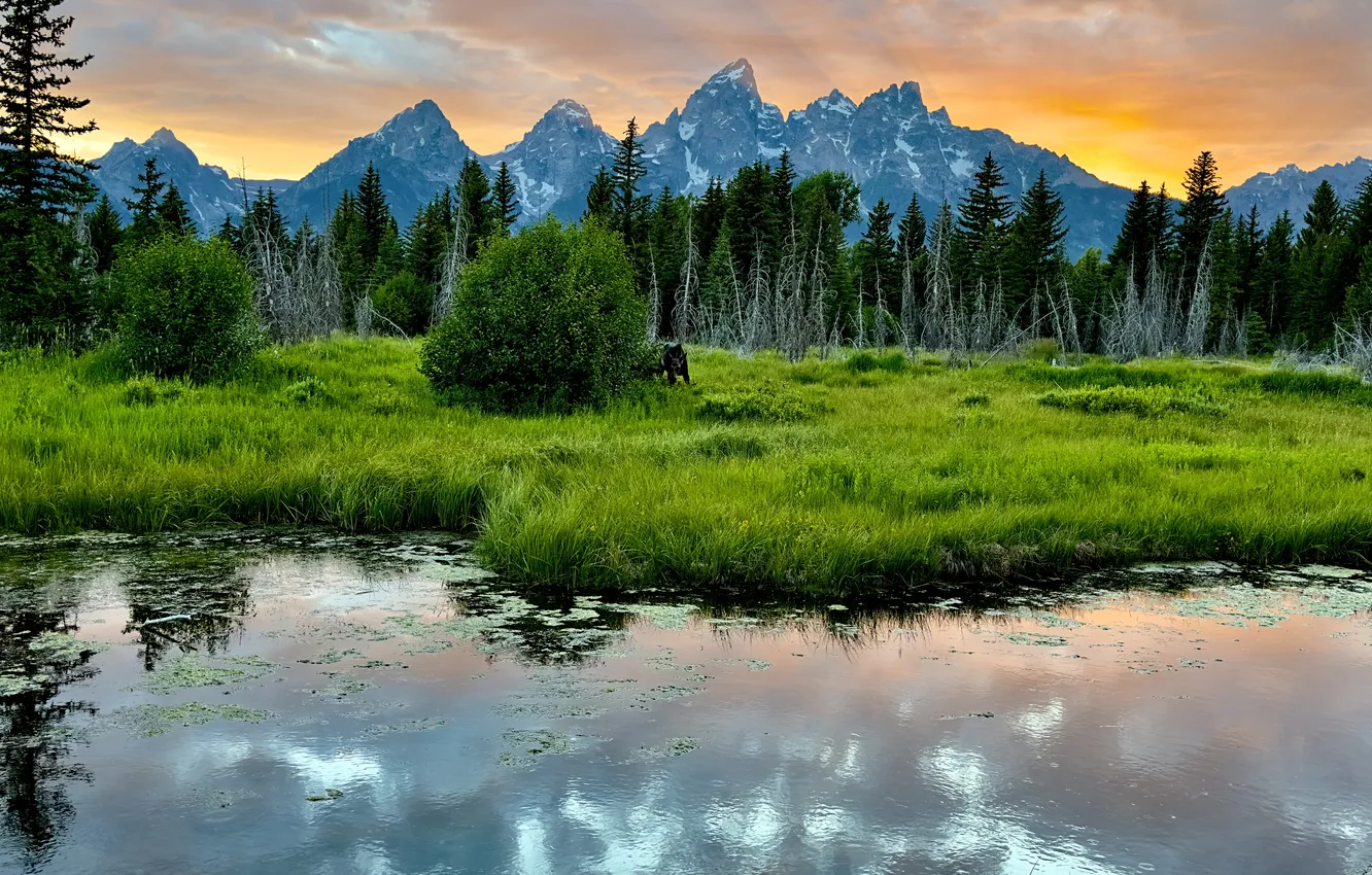 Photo wallpaper greens, forest, grass, clouds, sunset, mountains, lake, reflection
