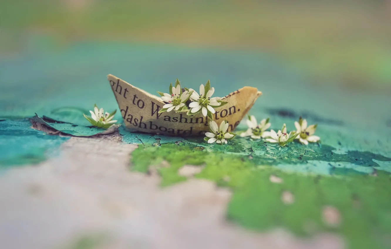 Photo wallpaper flowers, the world, boat