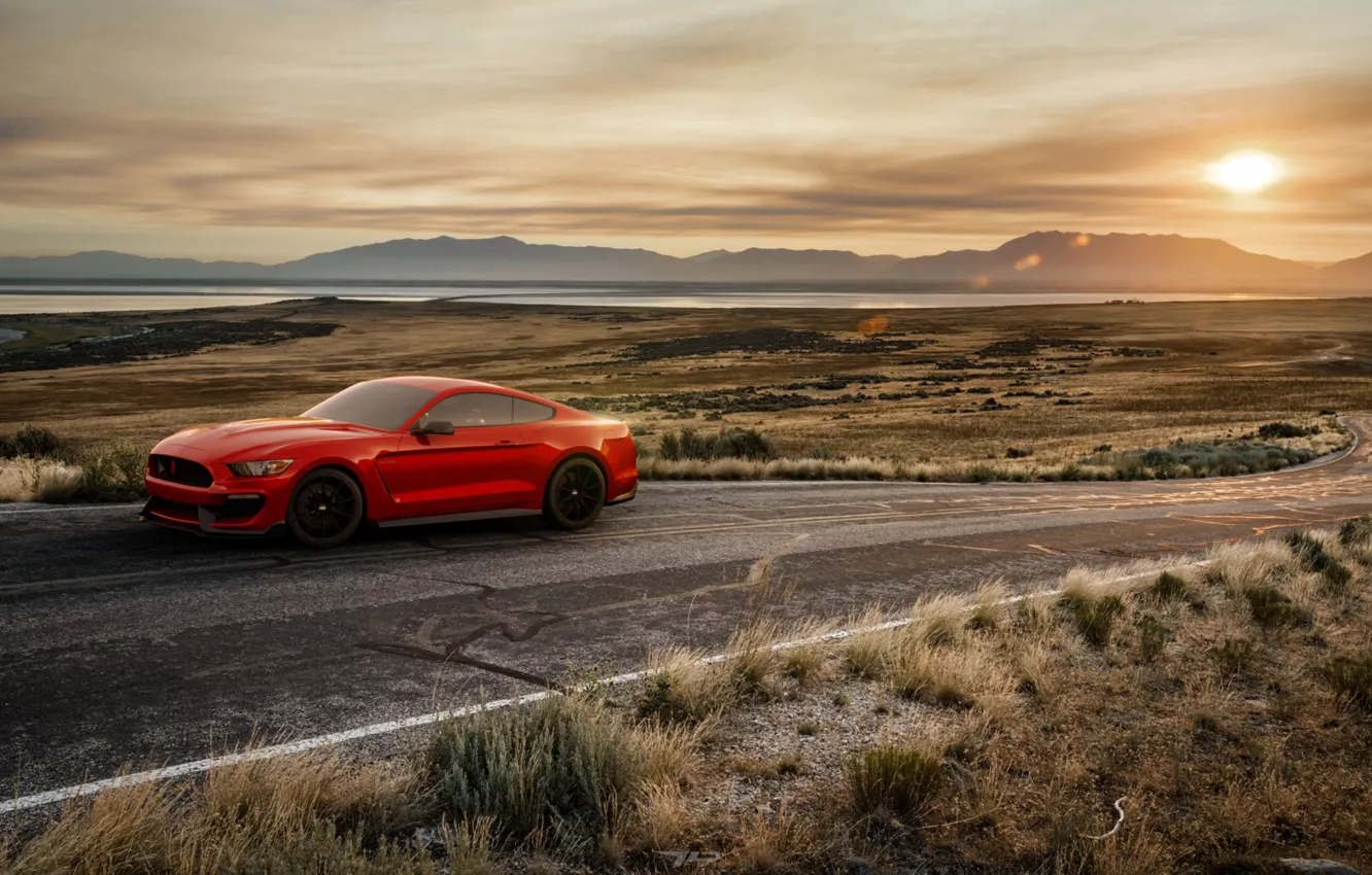 Photo wallpaper Sunset, Mustang, Ford, Shelby, Red, Auto, Road, Machine