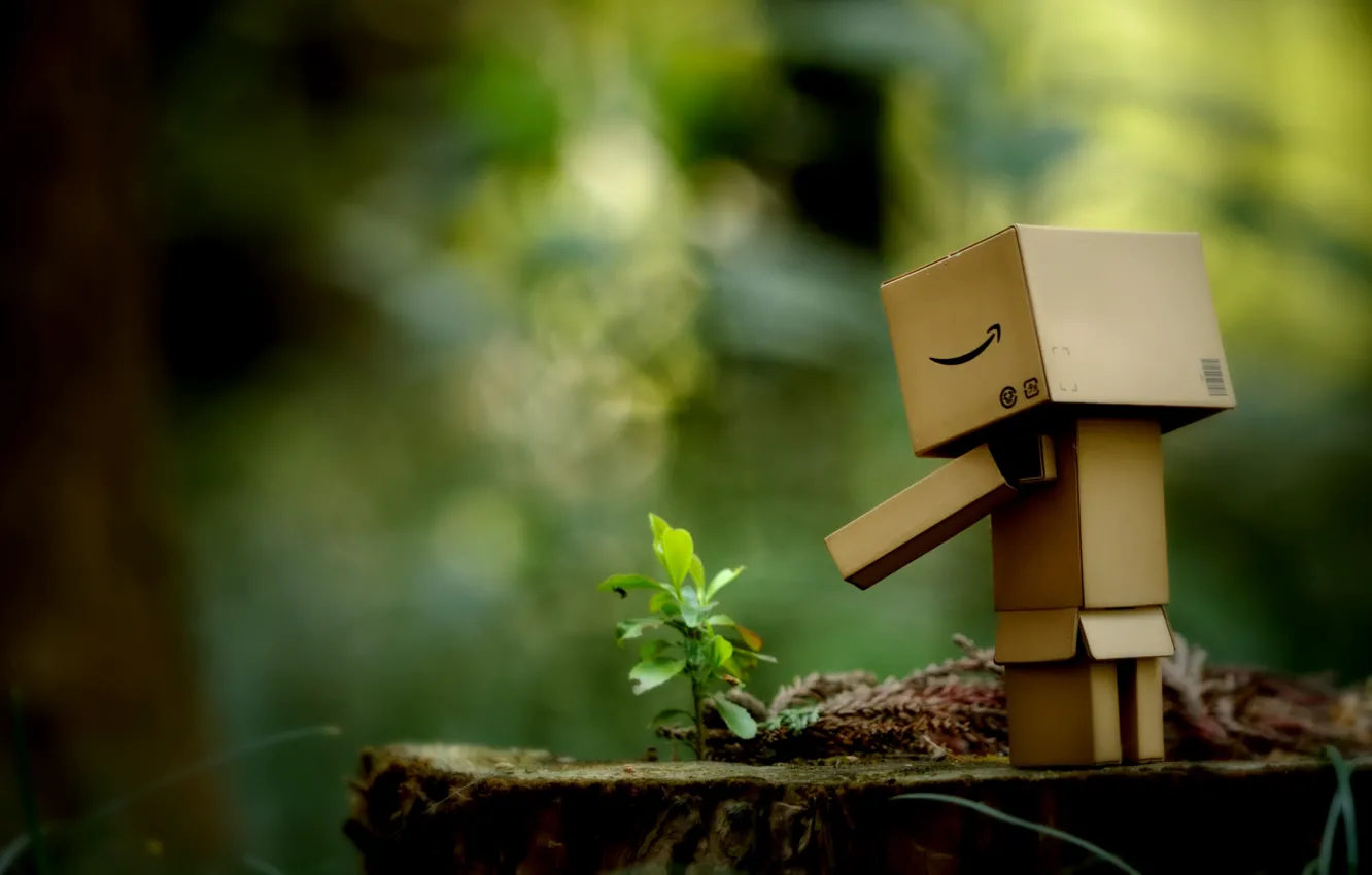 Photo wallpaper macro, trees, box, graphics, Rostock, stump, yumir, interesting