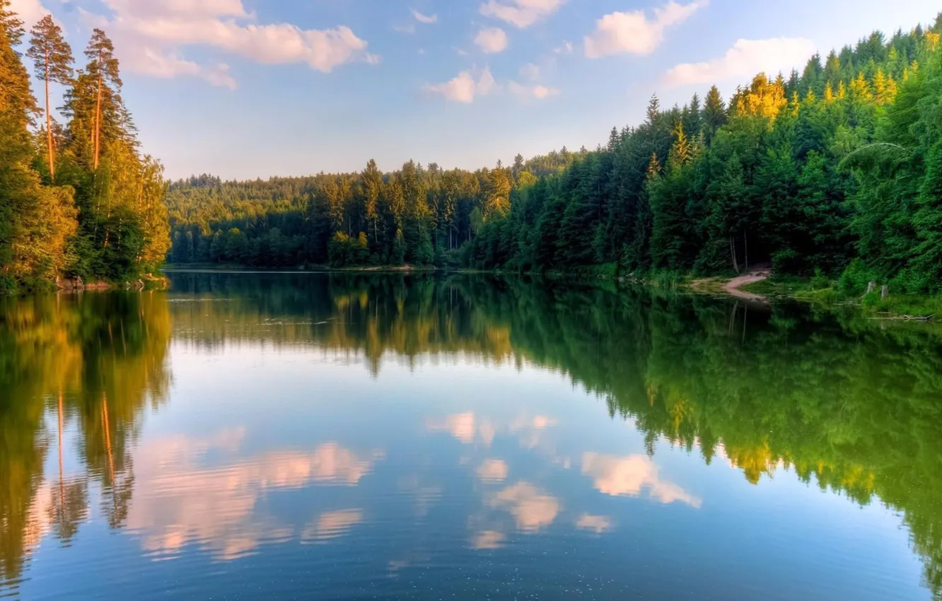 Photo wallpaper forest, the sky, grass, clouds, trees, landscape, nature, river