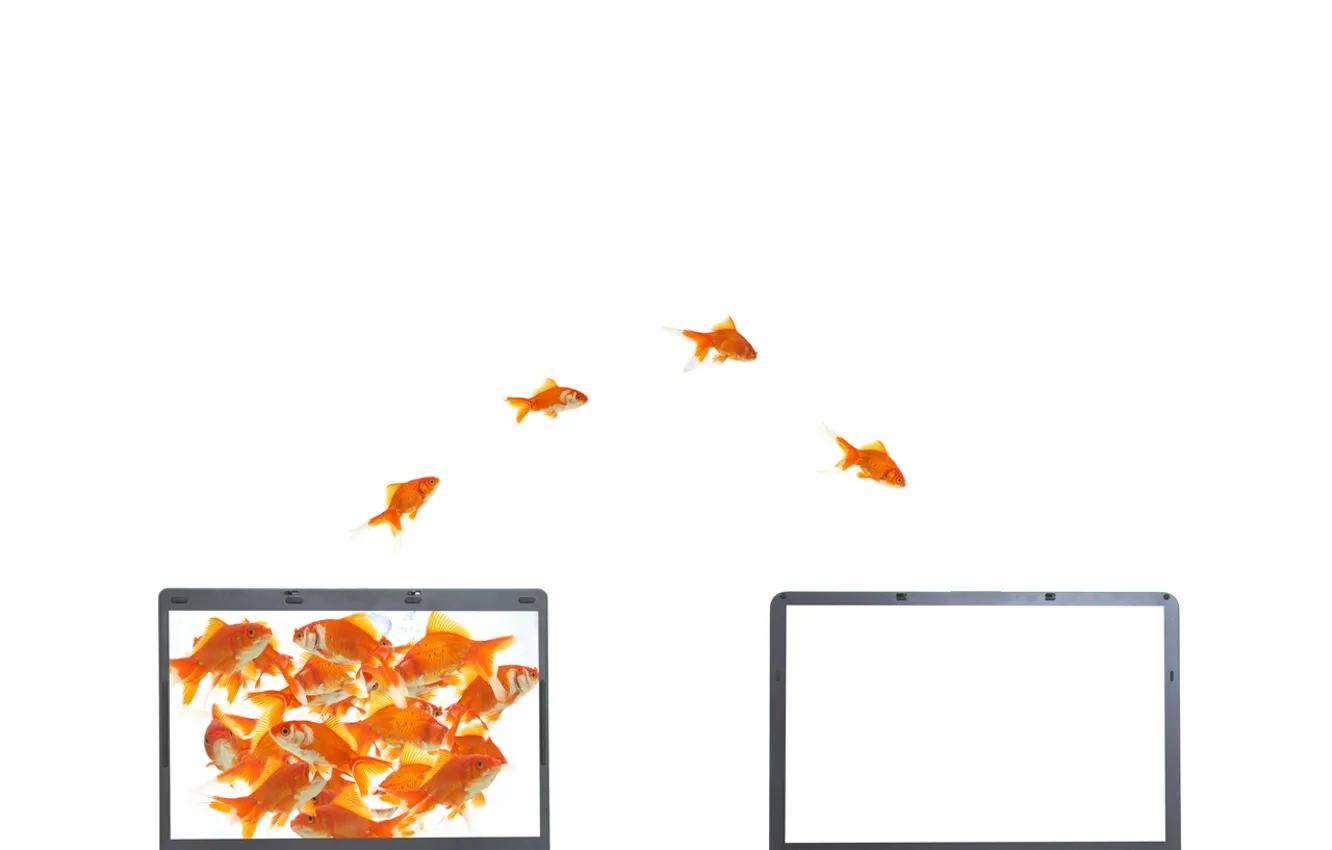Photo wallpaper fish, computers, gold
