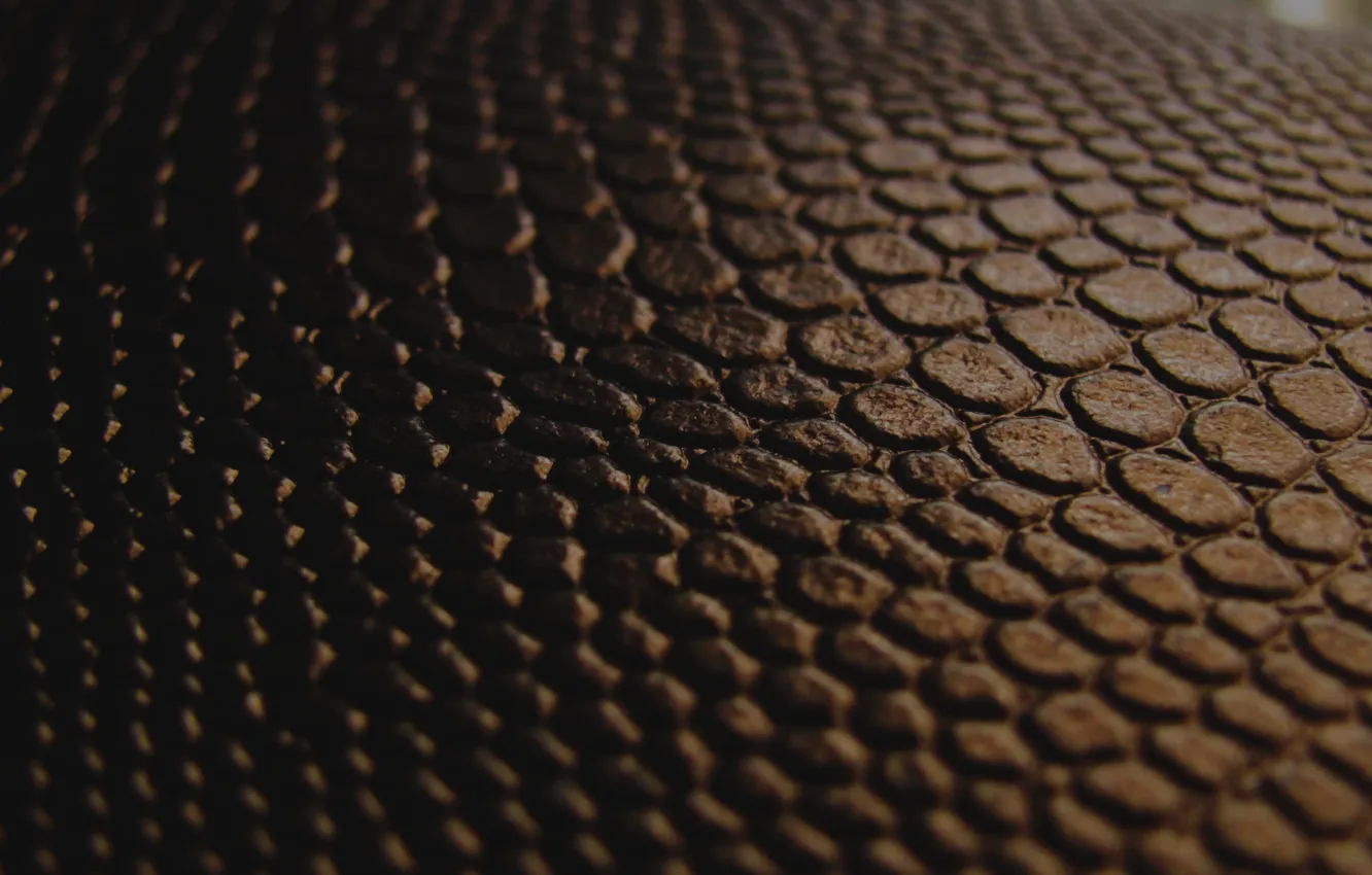 Photo wallpaper macro, black, texture, leather, the transition, brown, chorology