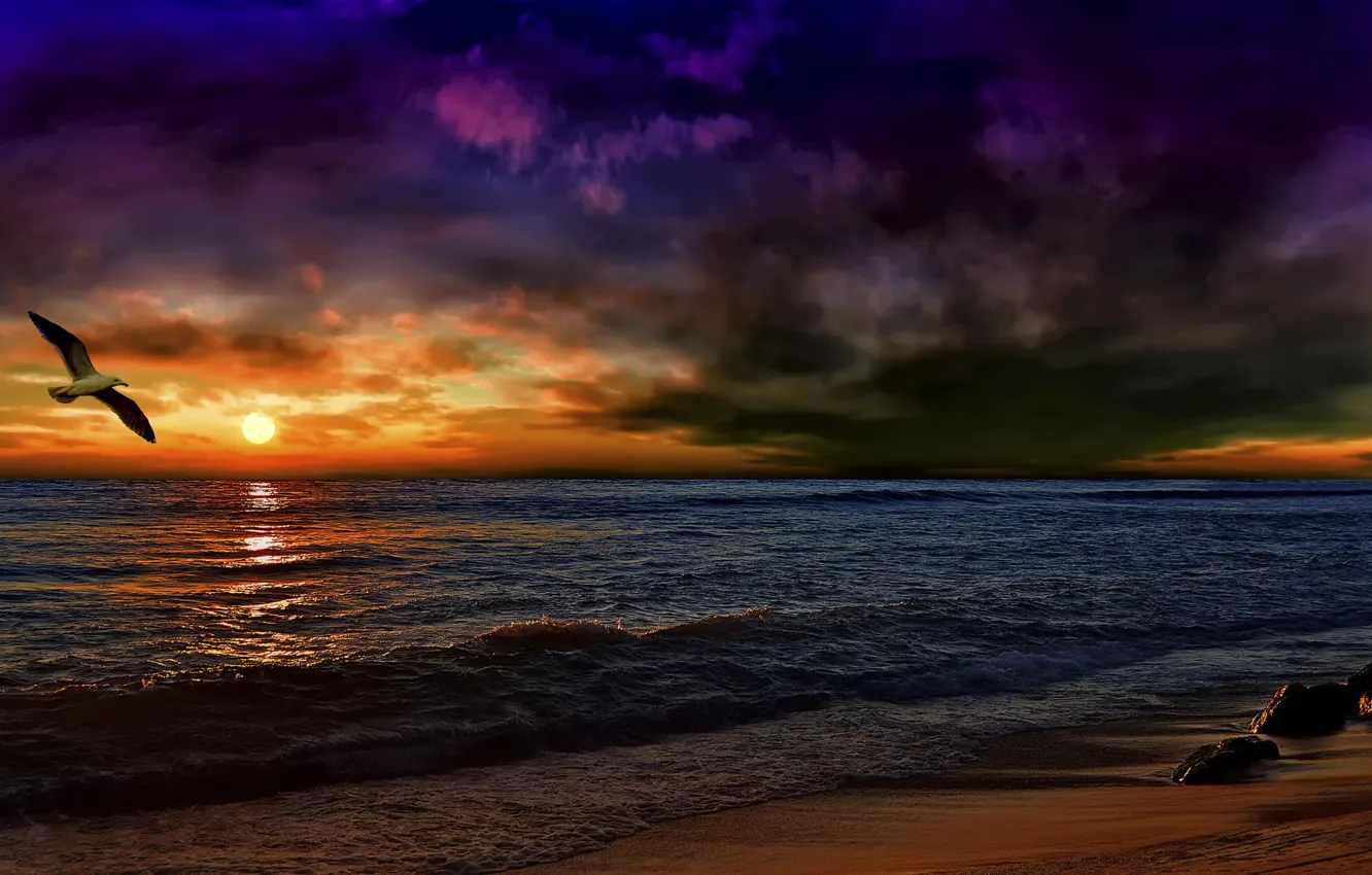 Photo wallpaper wave, sunset, treatment, Seagull, Andalusia, after the storm