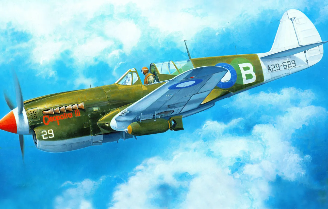 Photo wallpaper the plane, fighter, art, American, Curtiss, Tomahawk, P-40, Warhawk