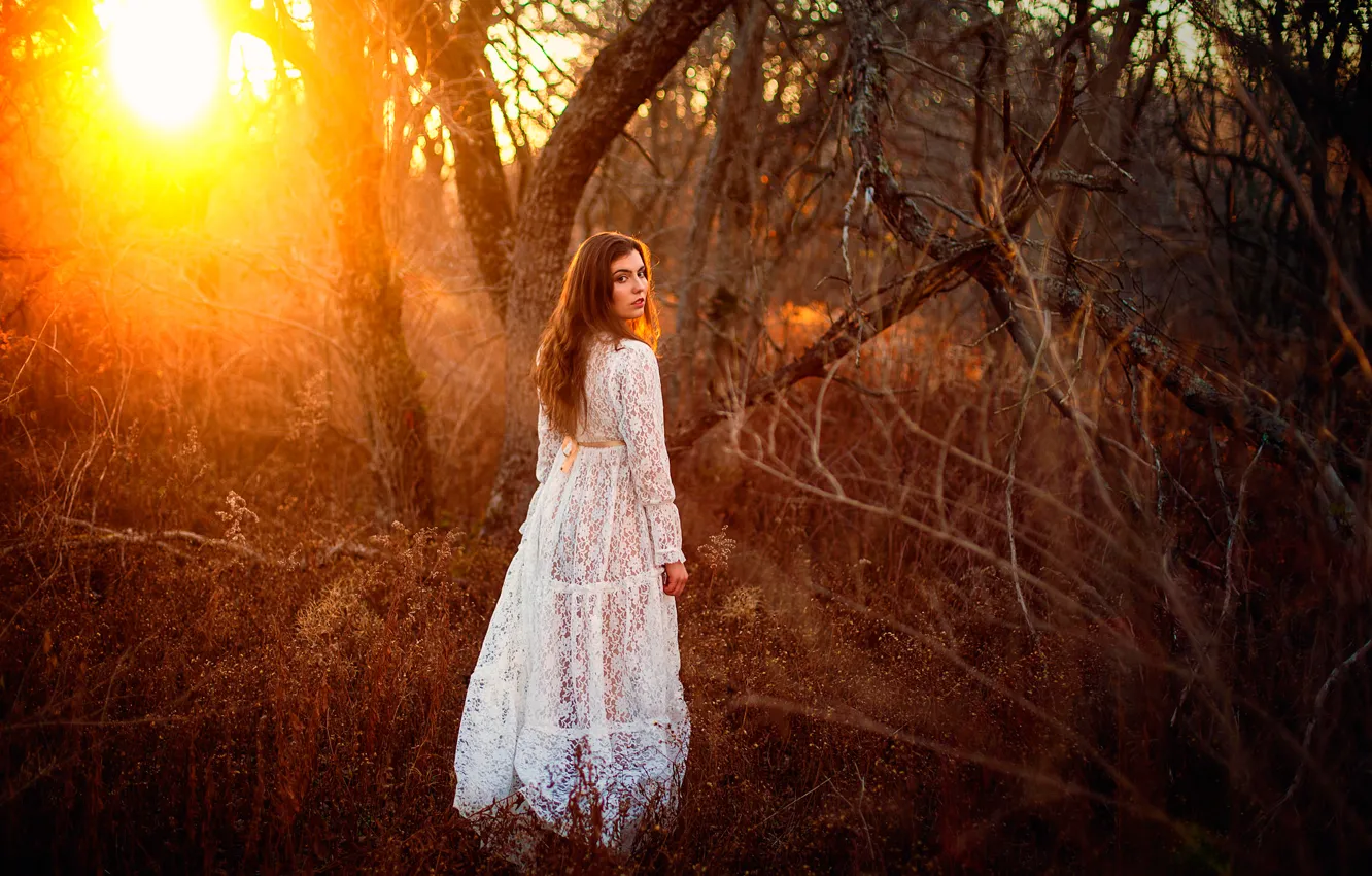 Photo wallpaper forest, girl, the sun, dress