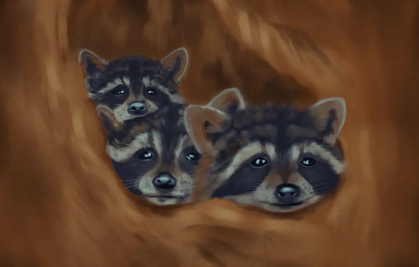 Photo wallpaper raccoons, raccoons in the hollow, the raccoon family