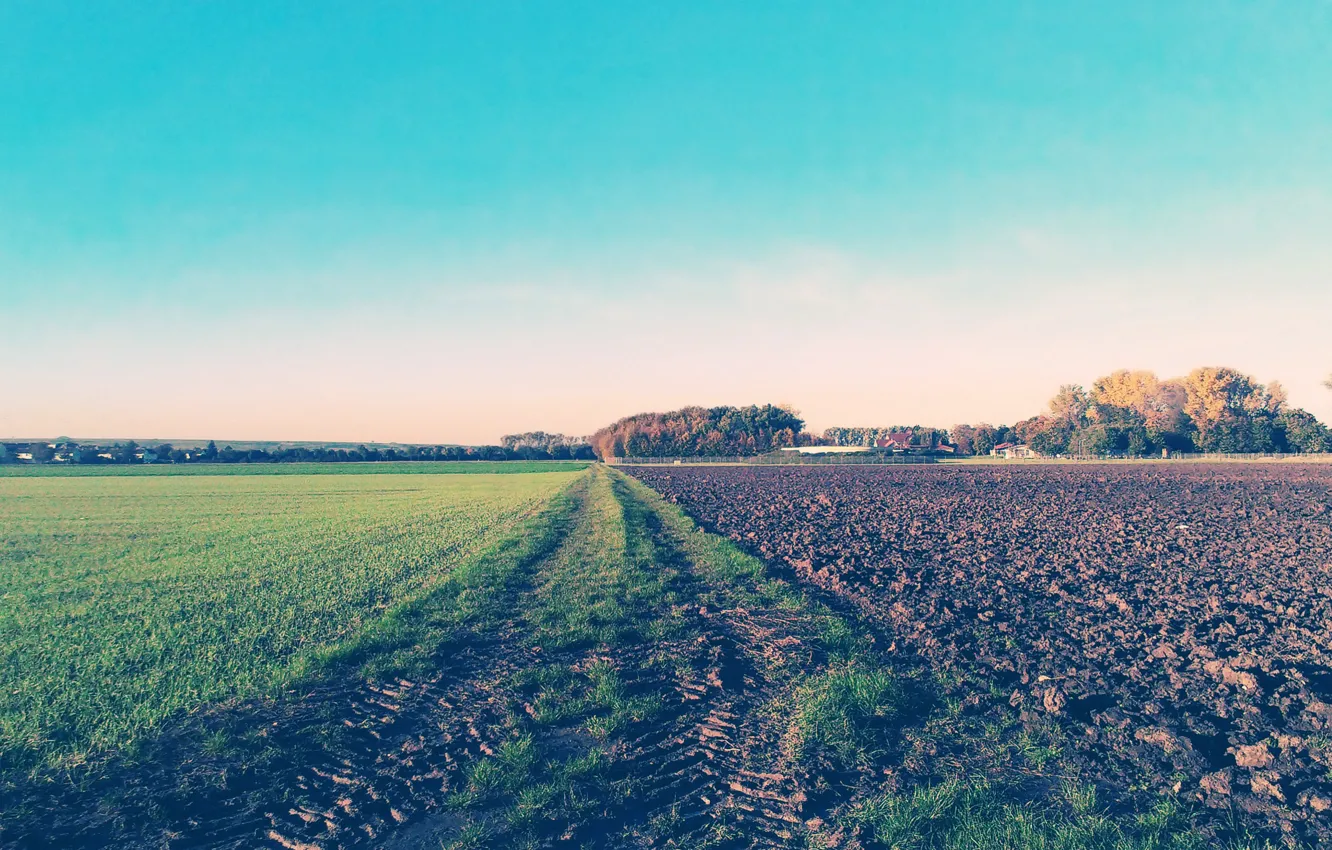 Photo wallpaper Germany, Osthofen, Germany, landscape, worms, saving