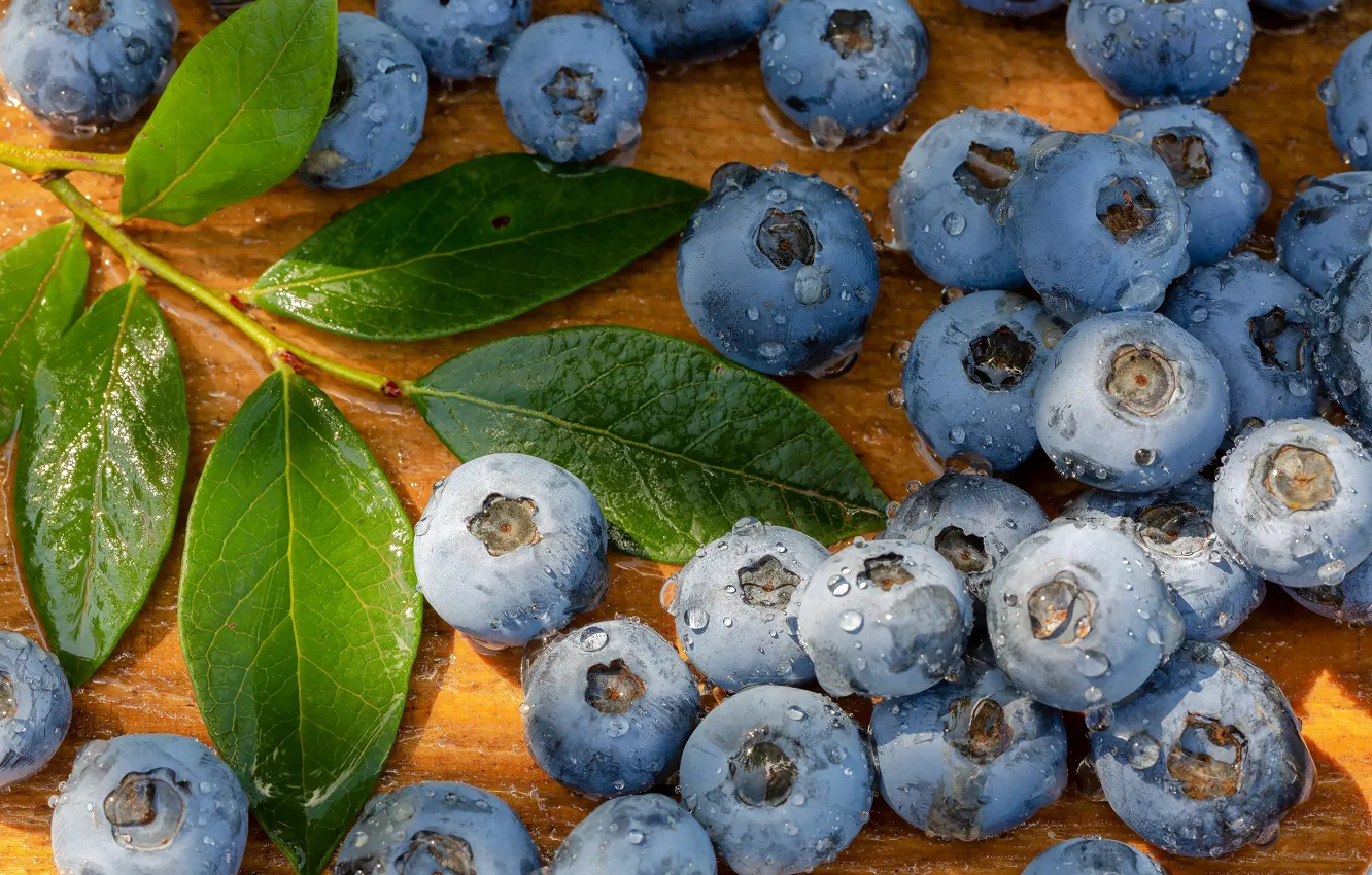 Photo wallpaper berries, water drops, closeup, blueberries
