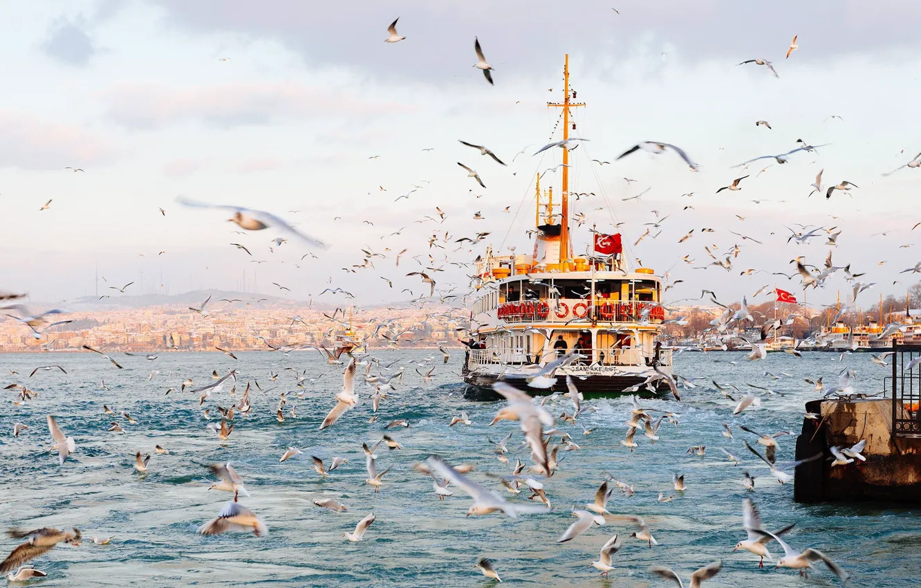 Photo wallpaper Istanbul, ferry, seagulls, Bosphorus