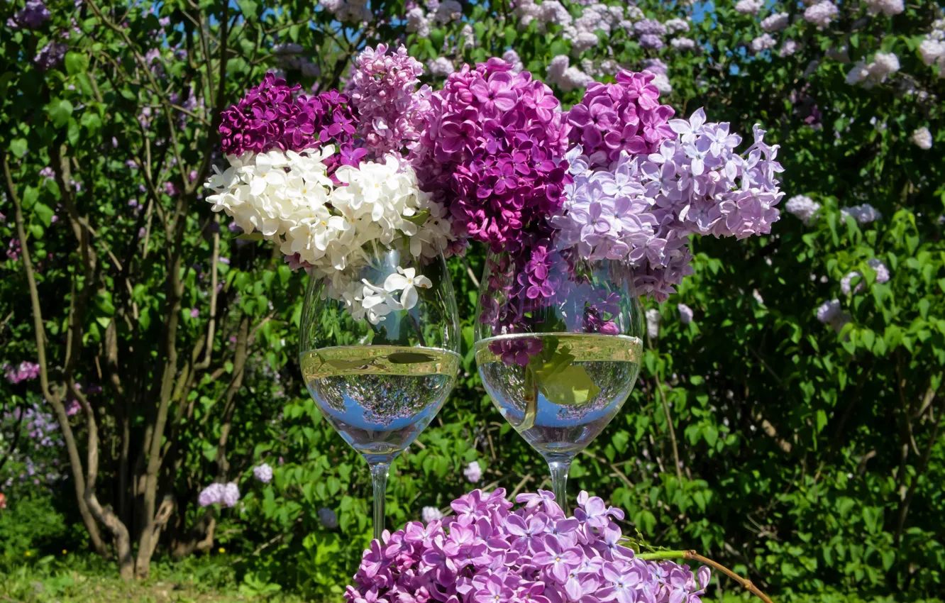 Photo wallpaper spring, glasses, lilac, lilac, stemware