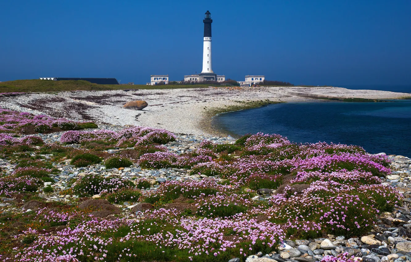 Photo wallpaper sea, beach, summer, the sky, flowers, blue, pebbles, blue
