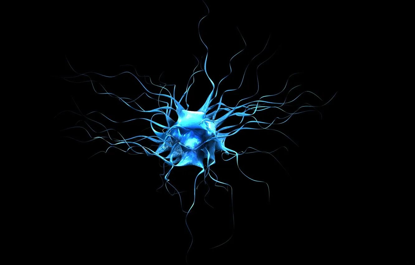 Photo wallpaper macro, minimalism, black background