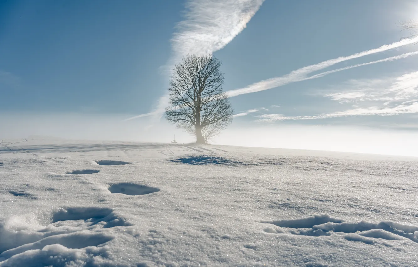 Photo wallpaper winter, field, the sky, clouds, snow, trees, landscape, nature