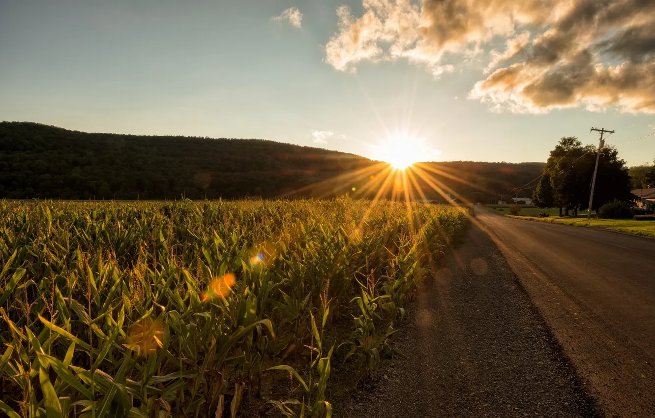 Photo wallpaper road, landscape, sunset