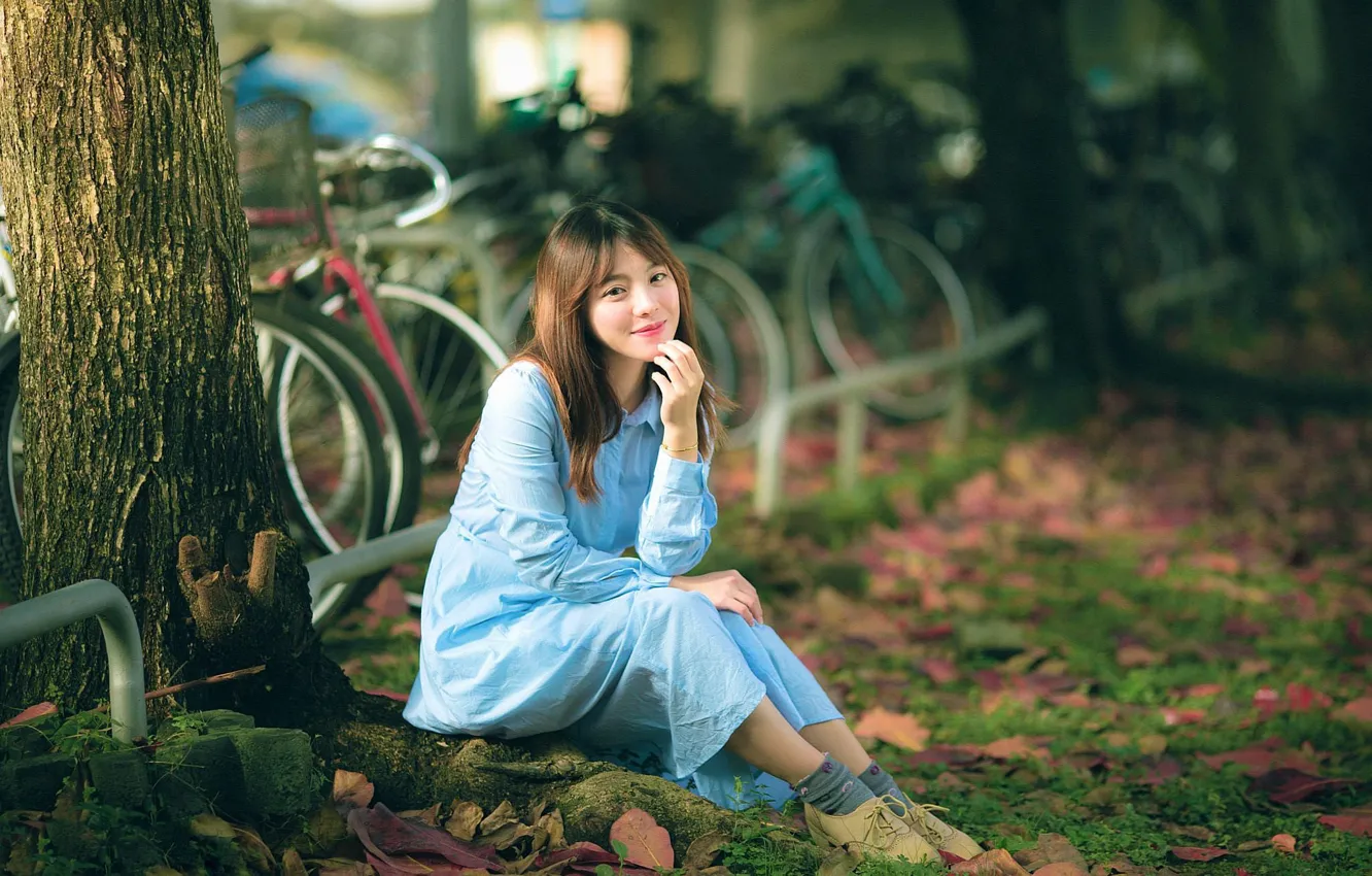 Photo wallpaper leaves, girl, trees, bike, Asian