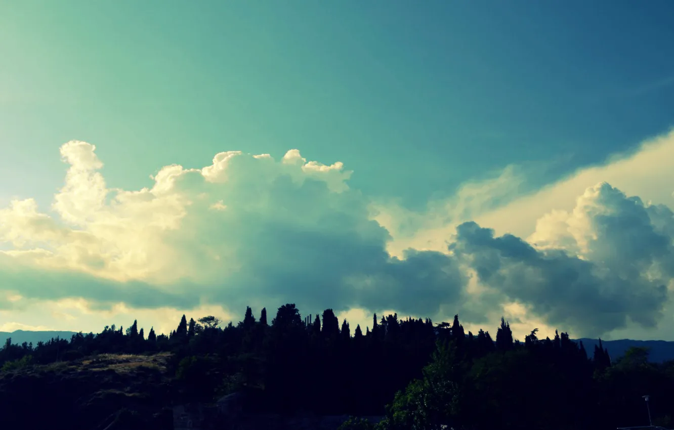 Photo wallpaper the sky, clouds, Crimea, cypress