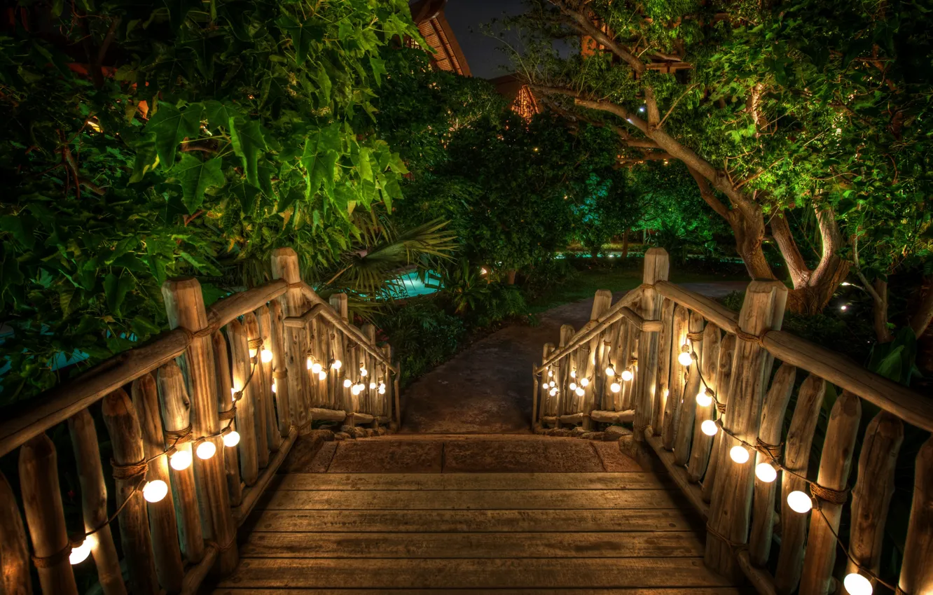 Photo wallpaper lights, green, pool, night, Track, resort, tropic