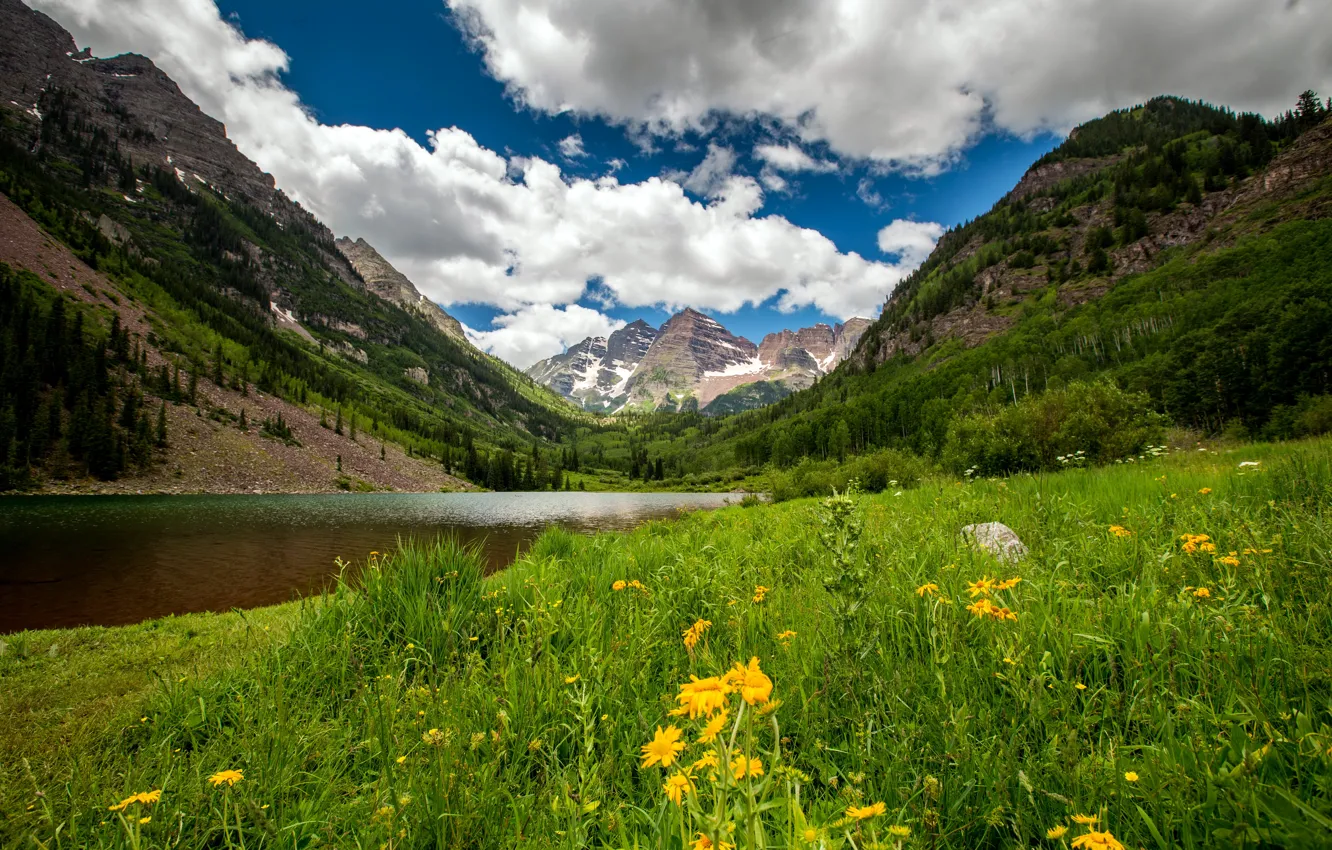 Photo wallpaper forest, grass, clouds, trees, flowers, mountains, lake, rocks